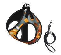 Autumn Leaves Thanksgiving Day Pumpkin print Dog Harness, 2X Buckle,Dog Vest,No Pulling Front Leash Clip,for Small Medium Dogs
