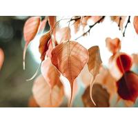 Autumn leaves under the sunlight-500-Piece Puzzle: Creative and Unique Gifts for Home Wall Decoration 14 years+