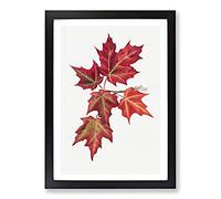 Autumn Leaves Vol.2 by Mary Vaux Walcott Framed Print | A2 Black Framed Wall Art | Ready to Hang | Modern Floral Picture | Living Room Bedroom Lounge Office
