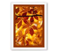 Autumn Light Through Leaves Botanical Framed Wall Art Print A4 (29.7×21cm) White, Wall Decor for Living Room, Bedroom, Office & Home, Ready to Hang, Art Gift