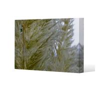 autumn pampas grass close up Slim Style Canvas Print 75x100cm , 15mm Slim Real wood. Benjamin Tate Design Natural One Size