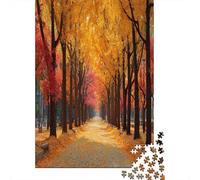 Autumn Park Path Lined with Tall Ginkgo Trees with Golden Leaves Jigsaw Puzzles Challenge Toy Educational Games Home Decoration for Adults& Teenager Age 14 Years Up 38x26cm/1000pcs