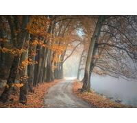 Autumn Path-3000-Piece Puzzle - Fun 3D Puzzle for Adults, High-Definition Printable 14 years+