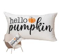 Autumn Pumpkin Cushion Covers, Pumpkin Pattern Cushion Covers 43 x 43 cm for Halloween | Seasonal Cover with Zip for Sofa Living Room Indoor Outdoor Decorative