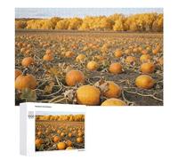 Autumn Pumpkin Field Jigsaw Puzzle 1000 PCS Challenging Fun Puzzles Wooden Jigsaw Puzzles for Adults Families
