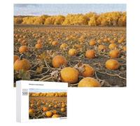 Autumn Pumpkin Field Jigsaw Puzzle 500 PCS Challenging Fun Puzzles Wooden Jigsaw Puzzles for Adults Families