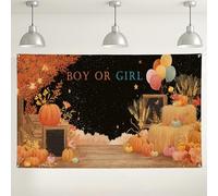Autumn Pumpkin Gender Reveal Backdrop, Fall Harvest Party Decorations, Cute Rustic Photography Background for Baby Shower Events, Halloween Thanksgiving Celebrations 71x43 Inch