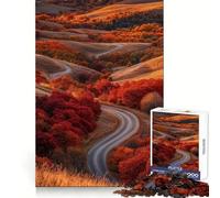 Autumn Road Through Hills 1000 Piece Jigsaw Puzzle for Teenagers Intellect Fun Mindful Escape Exact Edges Birthday Present (38X52CM)