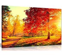 Autumn Scene Trees and Leaves in Sun Light Canvas Wall Art Picture Print (12x8in)