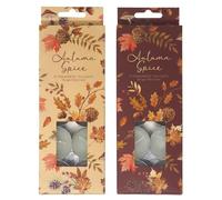 Autumn Spice Fragranced Tealights Candles - Set of 20