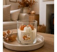 Autumn Spice Pumpkin Candles Autumn Table Decorations | Jar Candles, Pumpkin Spice Candle Scent, Small Pumpkin candles, Pumpkin Spiced Candles, Autumn Scented Candles