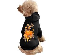 Autumn Tricks Pet Hoodie Sweatshirt Hooded Dog Cat Pullover Clothes Puppy Costume