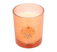 Autumn Wishes Pumpkin Pie Candle