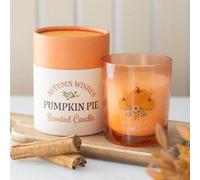 Autumn Wishes Pumpkin Pie Candle - Cozy Fall Scent & Gift Idea