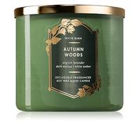 Autumn Woods 3-Wick Scented Candle - Soy Wax Blend with English Lavender, Dark Walnut & White Amber - 14.5 oz - Perfect Aromatherapy Candle for Fall & Winter