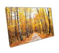 Autumnal Woodland Canvas: Serene Maple & Birch Forest Scene for Home or Office Wall Decor 45x30cm (18x12In) Depth 20mm