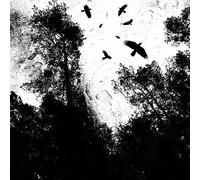 Autumn's Dawn - Autumn's Dawn [VINYL]
