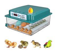 Auveach Automatic Egg Incubator Incubator for 16 Hen Eggs Automatic Temperature Control Automatic Egg Turning Double Electric Design