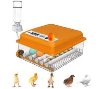 Auveach Automatic Egg Incubator Incubator for 16 Hen Eggs Automatic Temperature Control Automatic Egg Turning Double Electric Design (Orange)