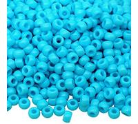 Auvoau 1000Pcs Pony Beads Bracelet 9mm Blue Plastic Barrel Pony Beads for Necklace,Hair Beads for Braids,Key Chain,Jewelry Making (Blue)