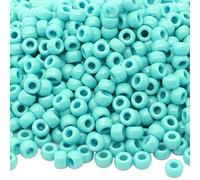 Auvoau 1000Pcs Pony Beads Bracelet 9mm Turquoise Plastic Barrel Pony Beads for Necklace,Hair Beads for Braids,Key Chain,Jewelry Making (Turquoise)