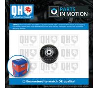 Aux Belt Idler Pulley QTA1112 Quinton Hazell Guide Deflection 46454419 46514222