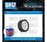 Aux Belt Idler Pulley QTA1180 Quinton Hazell Guide Deflection 500346226 Quality