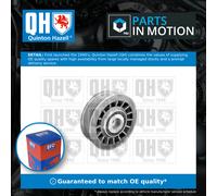 Aux Belt Idler Pulley QTA191 Quinton Hazell Guide Deflection 6012000770 Quality
