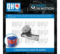 Aux Belt Idler Pulley QTA798 Quinton Hazell Guide Deflection 7700273640 Quality