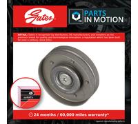 GATES T36436 Deflection / guide pulley, V-ribbed belt