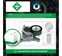 Aux Belt Tensioner fits PEUGEOT EXPERT 222, 224 2.0 00 to 06 Drive V-Ribbed INA