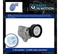 BLUE PRINT ADG096513 Tensioner pulley