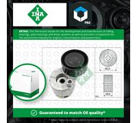 Aux Belt Tensioner fits DACIA DUSTER 1.6 1.5D 2010 on Drive V-Ribbed INA Quality
