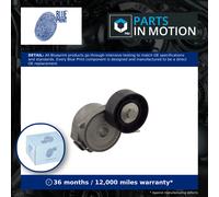 Aux Belt Tensioner fits RANGE ROVER EVOQUE L538 2.2D 11 to 19 Drive V-Ribbed New