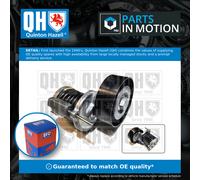 Aux Belt Tensioner fits VW CRAFTER 2E, 2F 2.0D 11 to 16 Drive V-Ribbed QH New