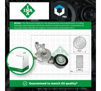 Aux Belt Tensioner fits VW TOURAN 1T 1.9D 03 to 10 Drive V-Ribbed INA 03G903315