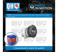 Aux Belt Tensioner QTA1033 Quinton Hazell Drive V-Ribbed 1004475 1077689 Quality