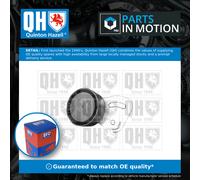 QUINTON HAZELL QTA1064 Tensioner pulley