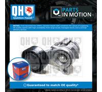 Aux Belt Tensioner QTA1478 Quinton Hazell Drive V-Ribbed 11287530314 11288624196