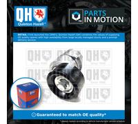 QUINTON HAZELL QTA1544 Tensioner pulley