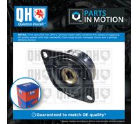 QUINTON HAZELL QTA1601 Tensioner pulley