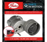 Gates Belt Tensioner T38680 - V-Ribbed Belt