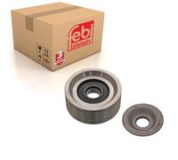 Auxiliary Belt Idler Pulley Fits Neoplan CENTROLINER CITYLINER JETLIN Febi 47136