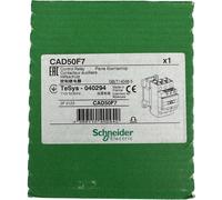 Auxiliary Contactor 110V 50/60Hz SCHNEIDER Electric CAD50F7