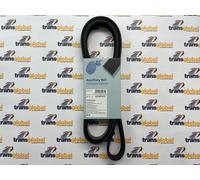 Auxiliary Drive Belt for Toyota Corolla Verso 1.6 1.8 Blue Print AD06R1870