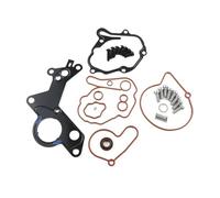 Auxiliary Pump 038145209M Vacuum Fuel Tandem Pump Repair Kit For VW For SEAT 1.2TDI 1.4TDI 1.9TDI 2.0TDI 038145209 038145209Q Water Pumps