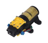 Auxiliary Water Transfer Pump, 12V Diaphragm Motor for Sprayer Upkeep, 5.0A Current, Compact Mounting Body Frame Diaphragm Sprayer Repair Transfer Compact Pressure Abs Housing Maintenance Agricultural