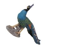 AUYXSSZ Cognitive Teaching Aids Featuring Realistic Peacock Animal Figures As Engaging Kids Party Favor Toys And Decor Early Educational Toys Teaching Props