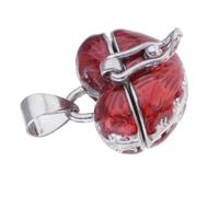 AUYXSSZ Cremation Pendant Memorial Pet Pendant Heart Holds Treasures Of Ashes And Sentimental Messages Pet Cremation Urn Ash Holder Gift For Family And