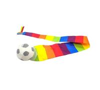 AUYXSSZ Dynamic Rainbow Ball For Throwing And Catching Activities Helping Kids Develop Sports Skills And Coordination Rainbow Ball With Tail Kindergarten Kids Toy Gift